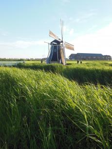 Klik hier om terug te keren